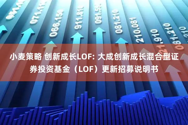 小麦策略 创新成长LOF: 大成创新成长混合型证券投资基金（LOF）更新招募说明书